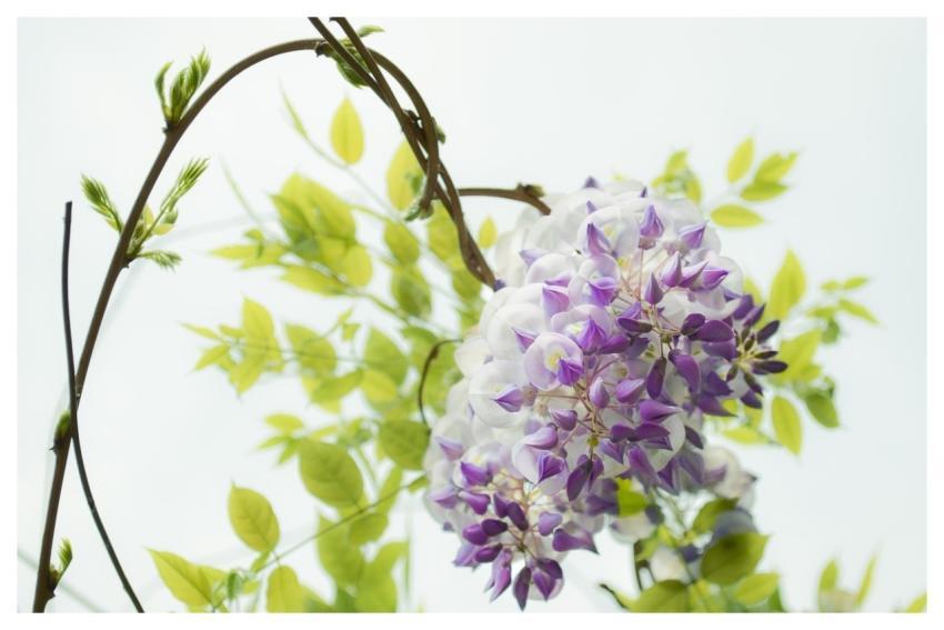 Zhang Jiao Computer Technology Sw1994