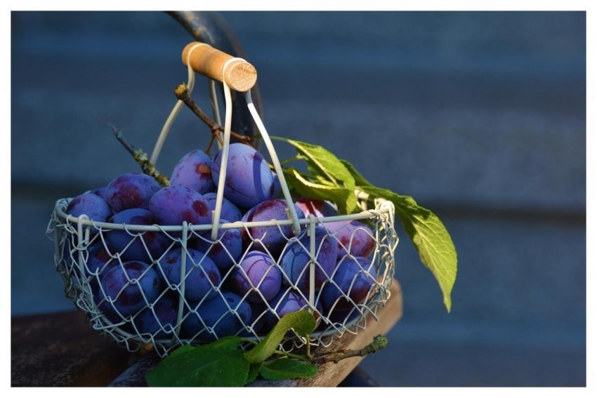 Plums Fruits Basket Fruit Basket