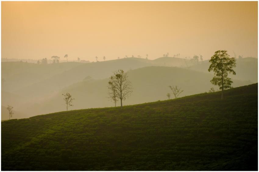 A tranquil landscape of rolling hills with trees d