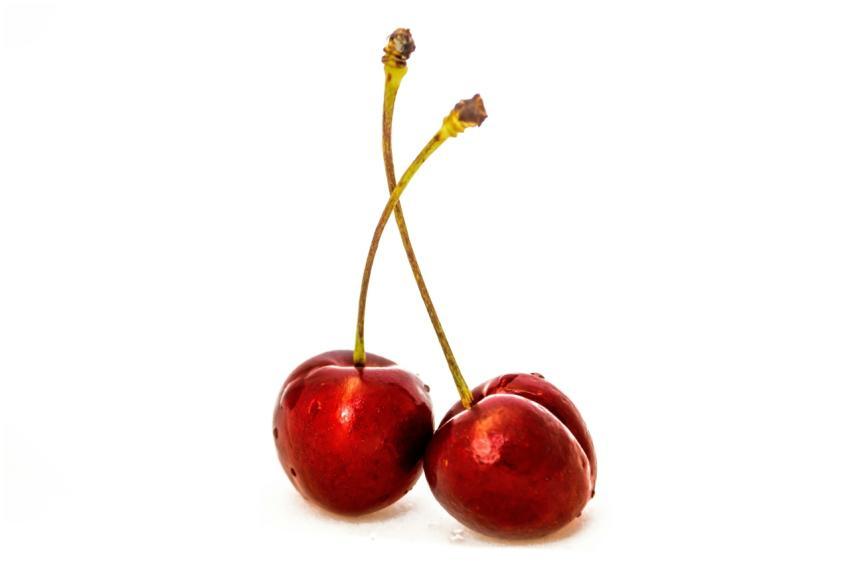 Close-up shot of two ripe red cherries with water