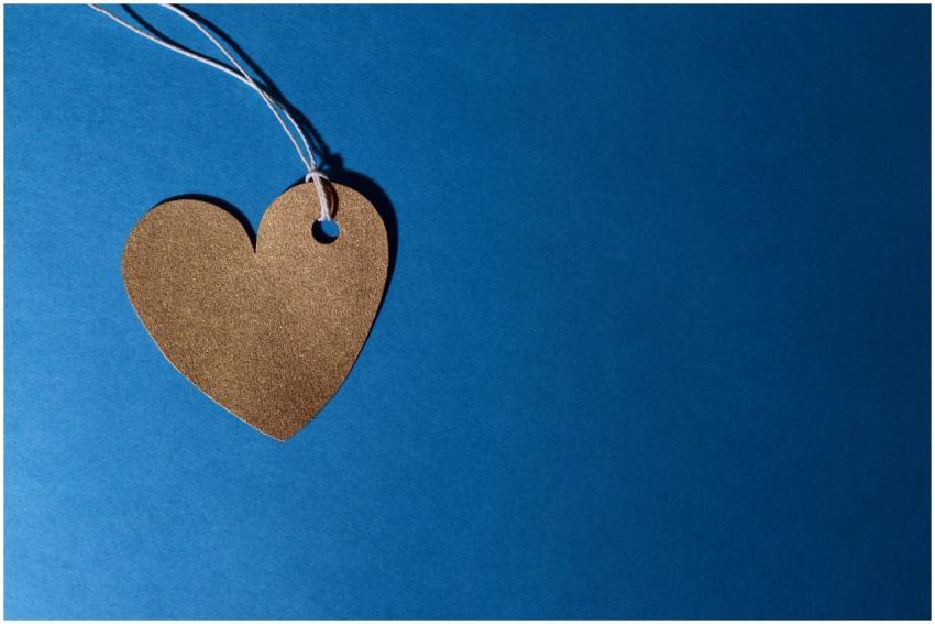 Heart-shaped cardboard cutout with string on a viv