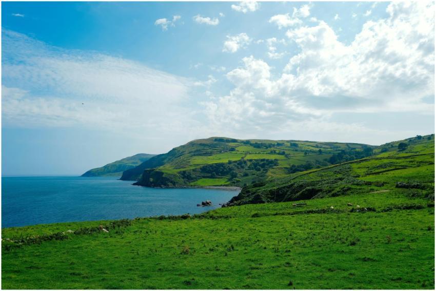 Beautiful coastal landscape with green fields, cli