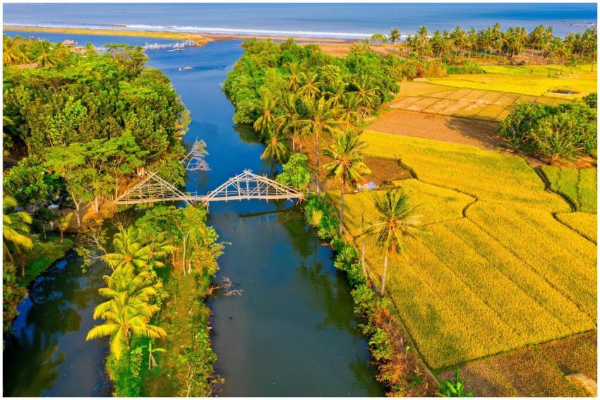 A stunning aerial view of rice fields and a river