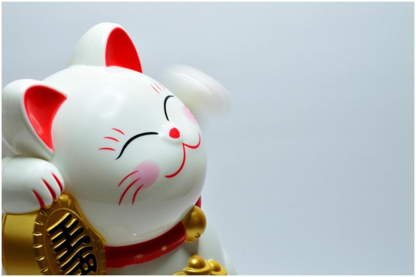 Close-up of a white Maneki Neko figurine with a ra
