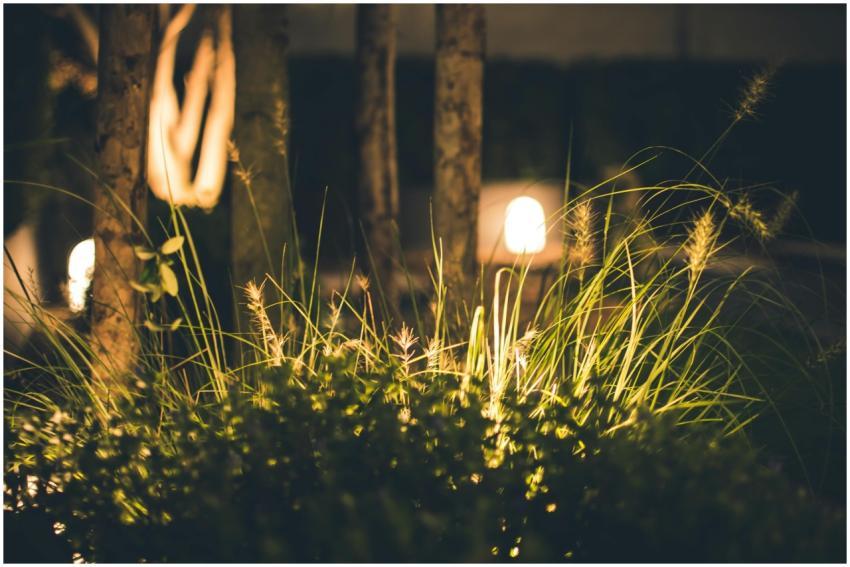 A tranquil garden scene at night featuring softly