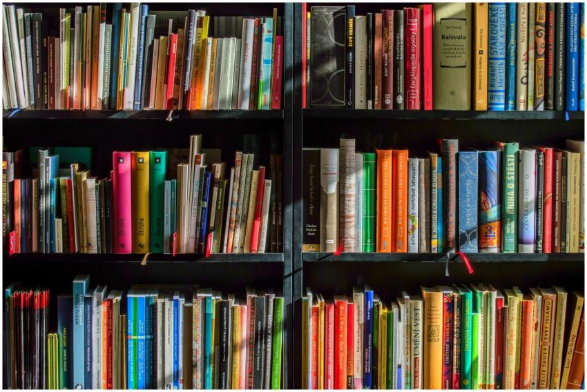 Vibrant collection of books on shelves for reading