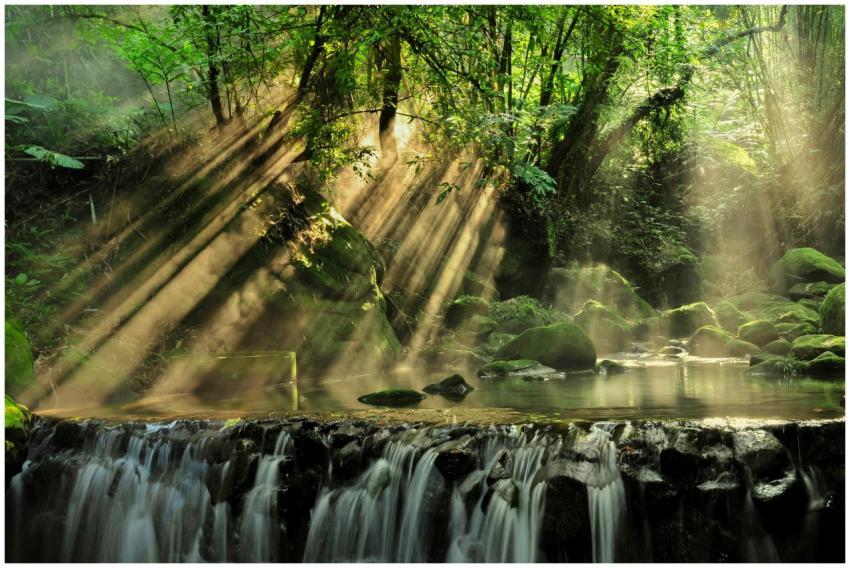 Tranquil waterfall in a lush forest with sunbeams
