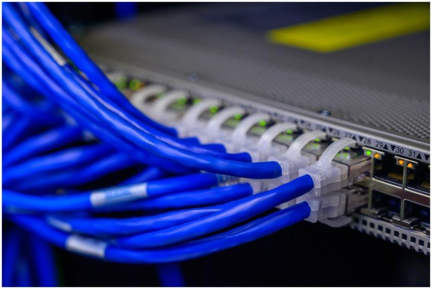 Detailed view of blue ethernet cables connected to