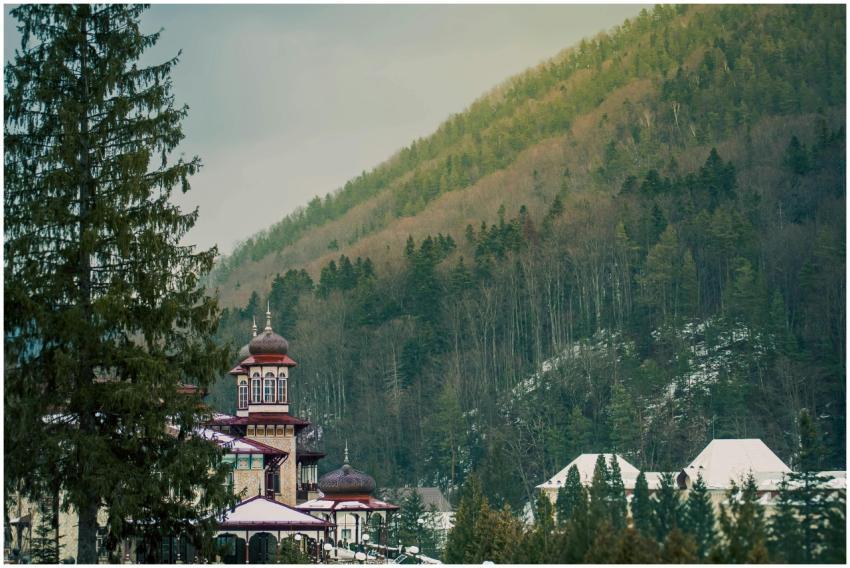 Traditional Romanian building nestled amidst lush