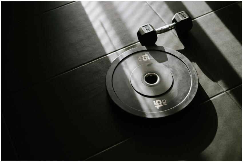 A 15 kg weight plate and dumbbell on a gym floor,