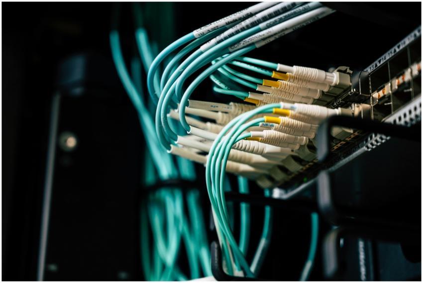 Detailed view of network cables plugged into a ser