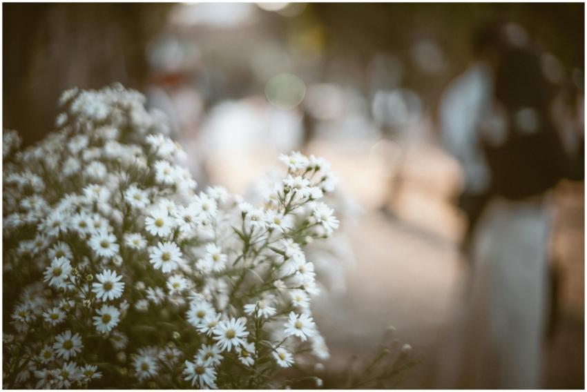 Dreamy Close Up White