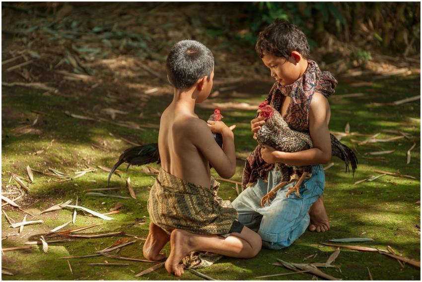 Two young boys engaged in play with chickens outdo