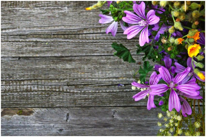 Vibrant purple wildflowers arranged on a rustic wo