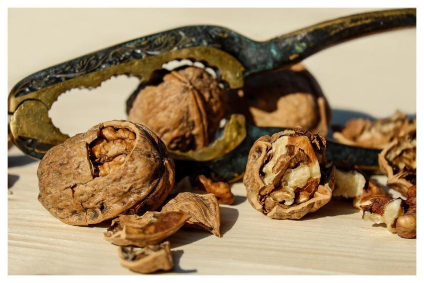 Walnut Nut Brown Nuts