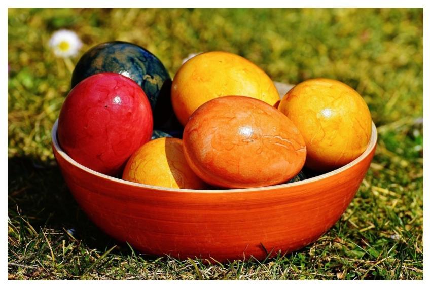 Shell Eggs Colored Easter