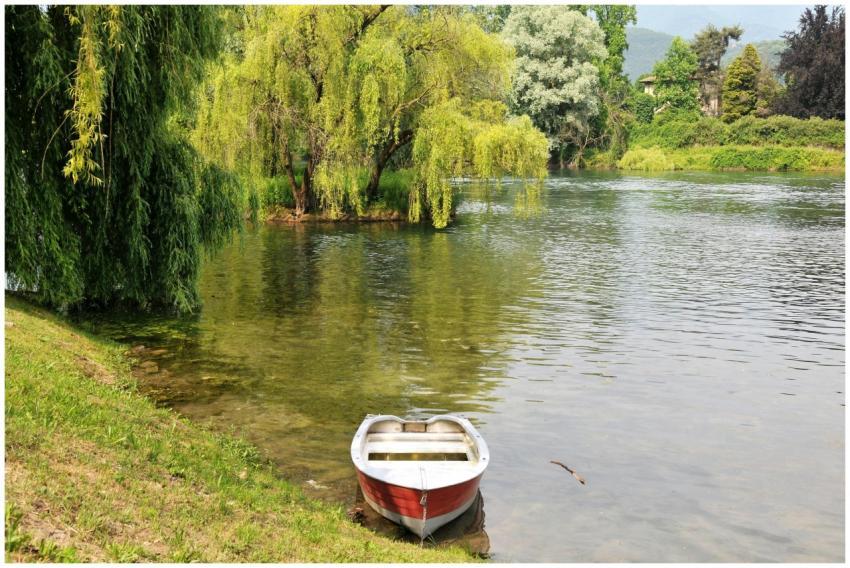 Serene river scene with a red rowboat and willow t