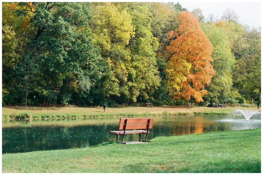 A peaceful park scene with autumn trees, a bench b