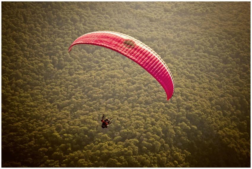 A thrilling paragliding flight over the dense fore