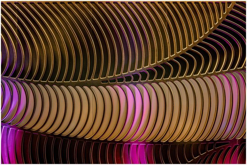 Colorful abstract art featuring intricate curved p