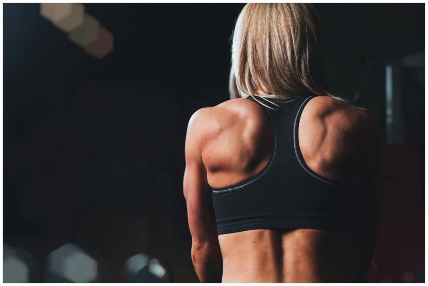 A powerful back view of a female bodybuilder showc