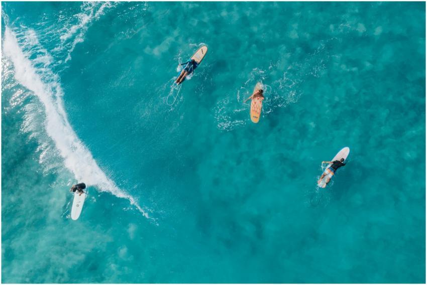 Top-down view of surfers enjoying the waves in tur