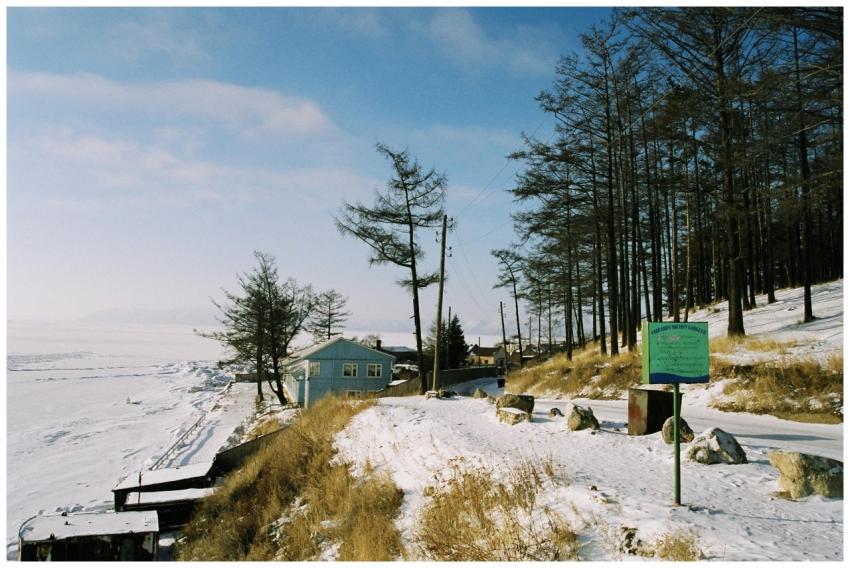 Captivating winter scene with snow, trees, and a l