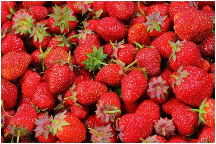 Vibrant close-up of fresh, organic, juicy strawber