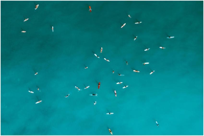 Aerial shot capturing surfers on turquoise ocean w