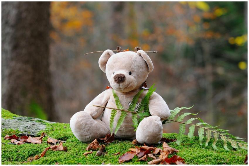 Cute teddy bear surrounded by moss and autumn leav