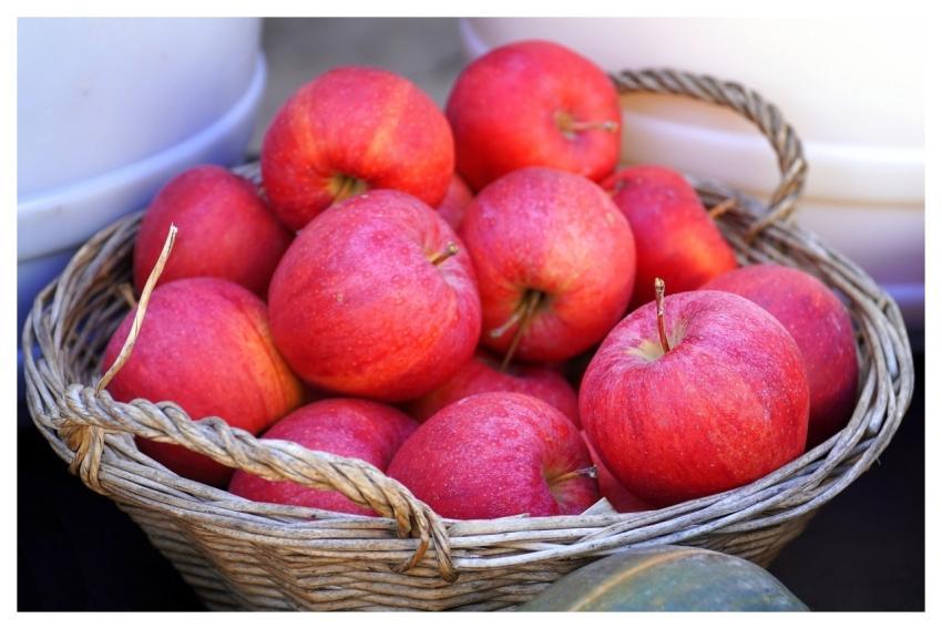 Apples Fruit Harvest Fresh