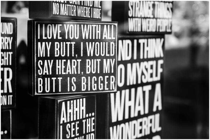 Monochrome arrangement of funny quotes and sayings