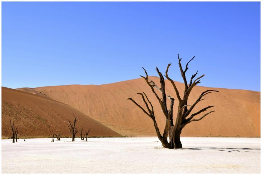 A breathtaking view of Deadvlei desert featuring i