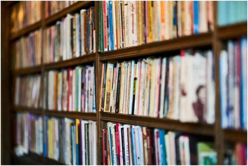 A detailed close-up view of a bookshelf in a libra