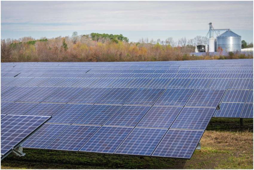 A large field of solar panels capturing renewable