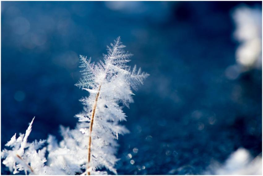 Close-up of intricate ice crystal formations on a