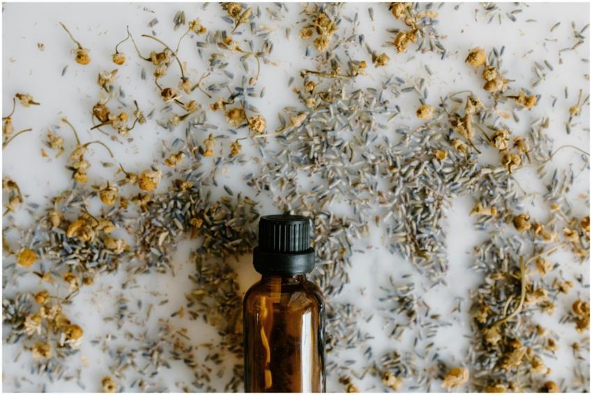 A close-up of an essential oil bottle surrounded b