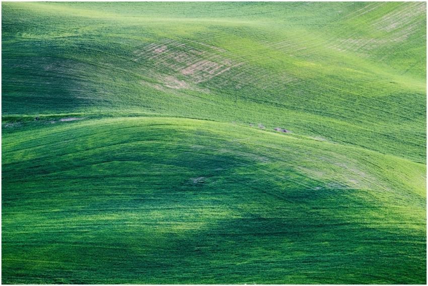 Expansive view of vibrant green rolling hills show