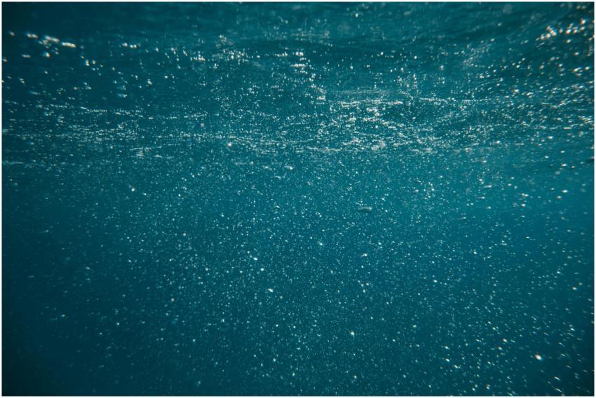 Enchanting underwater view with bubbles and shimme