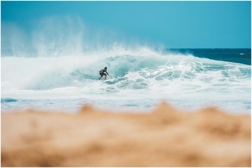 A surfer catches a wave on a sunny day at the beac