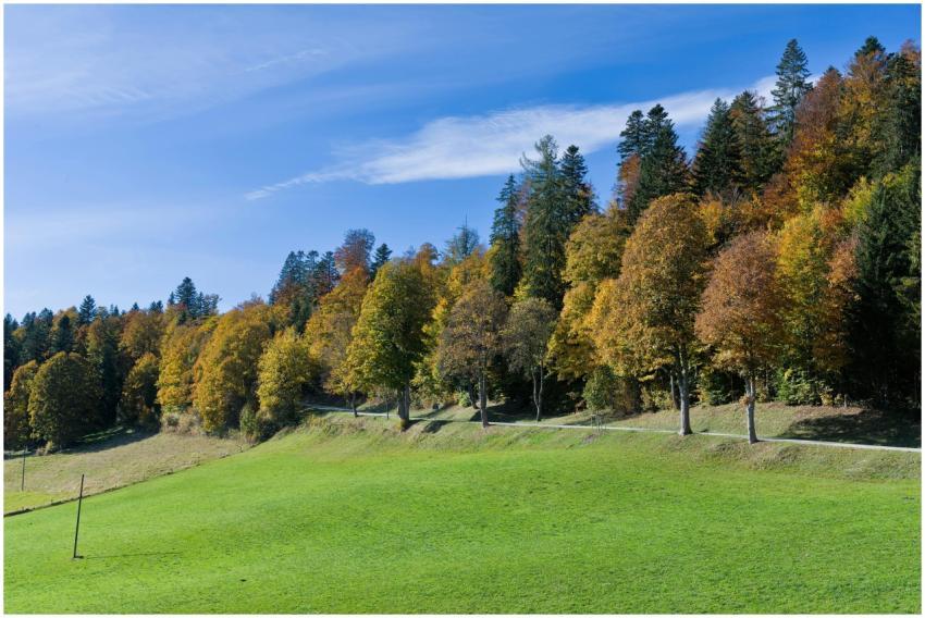 Vibrant autumn foliage in the Jura Mountains, Fran