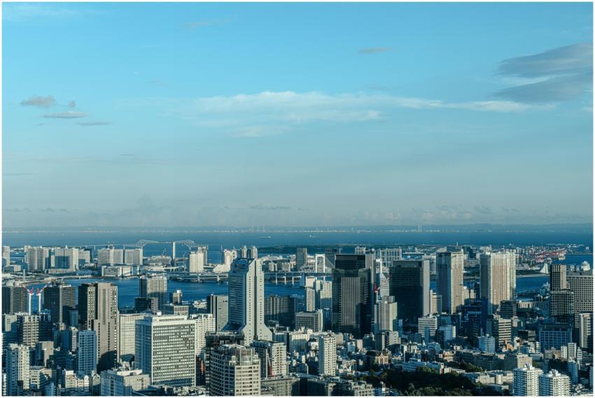 Captivating aerial cityscape of Tokyo with its ico