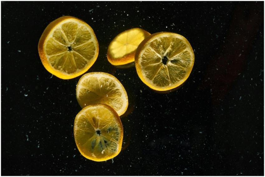 Several lemon slices float against a dark water ba