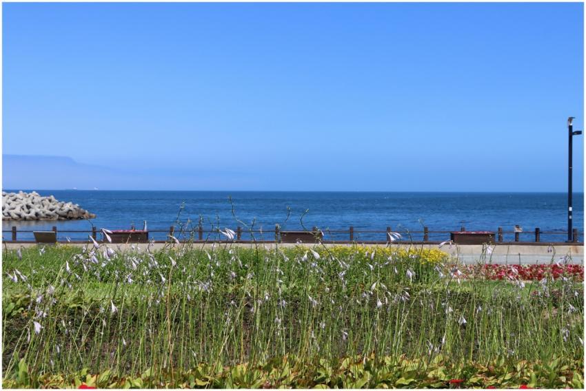 Tranquil seaside scene with blue sky, ocean, and v