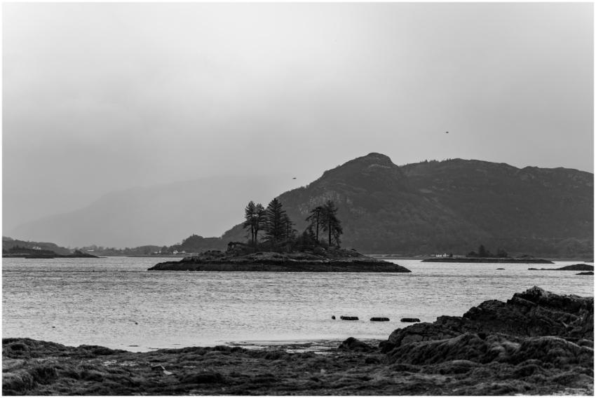 Serene Island Landscape Black