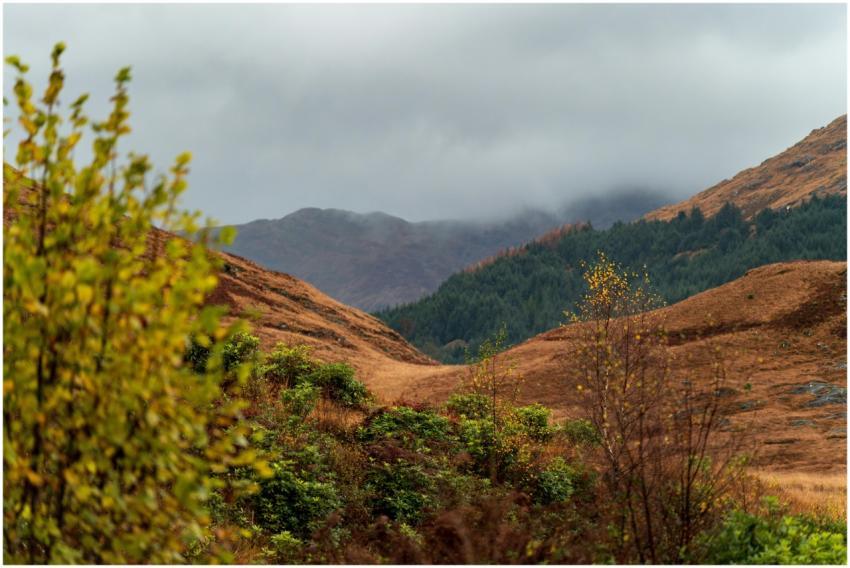 Explore a breathtaking autumn scene with vibrant f