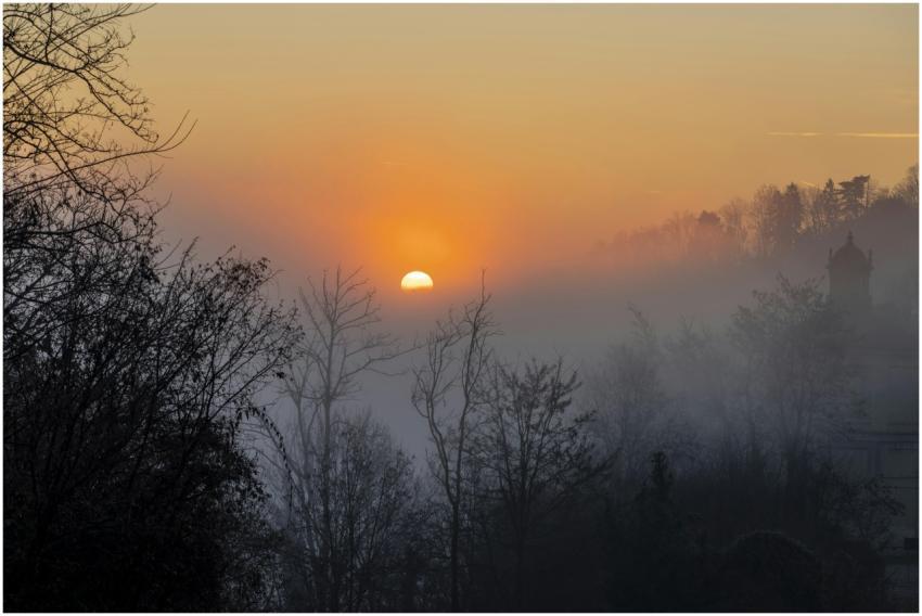 A serene sunrise through misty trees in winter, cr