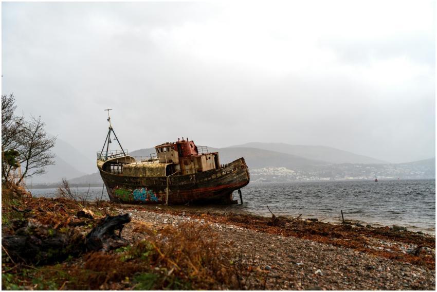 A rusty shipwreck on a rocky shore with a misty se