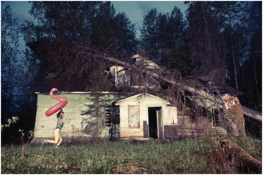 Woman with inflatable flamingo under fallen tree a