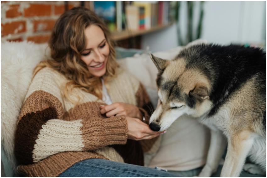 Smiling woman in knitted sweater petting her dog o